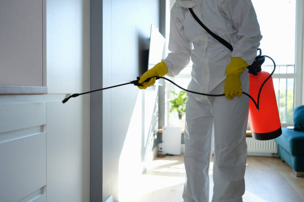 Best Mold Remediation Experts  in Ocean Shores, WA