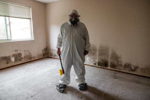 Best Mold Removal Process  in Ocean Shores, WA